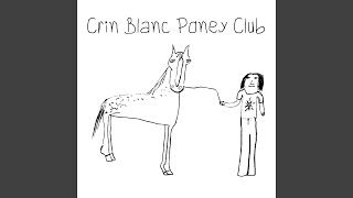 Psycho Teddy - Crin Blanc Poney Club