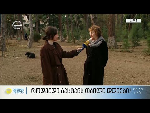 როდემდე გასტანს თბილი დღეები ? - სვეტლანა ნიორაძე „იმედის დილის“ პირდაპირ ჩართვაში