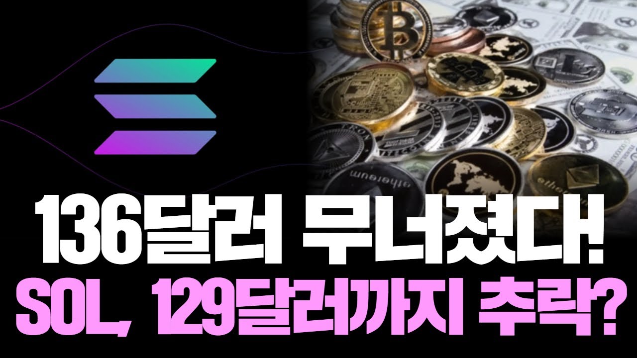“솔라나, 다음 지지선은 어디? 투자자 패닉 경보”