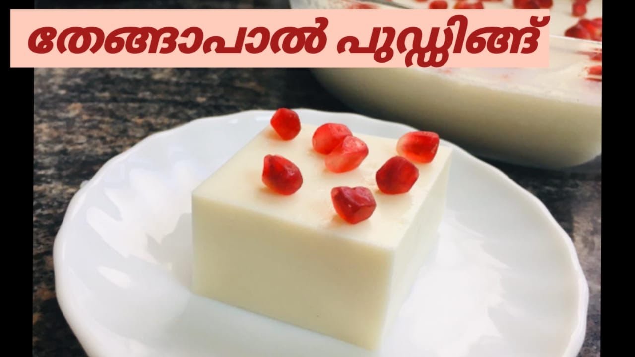 Coconut Milk Pudding/ Easy & Tasty Pudding Recipe YouTube