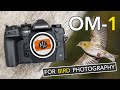 Om system om1 review for bird photography  a wow camera or just good