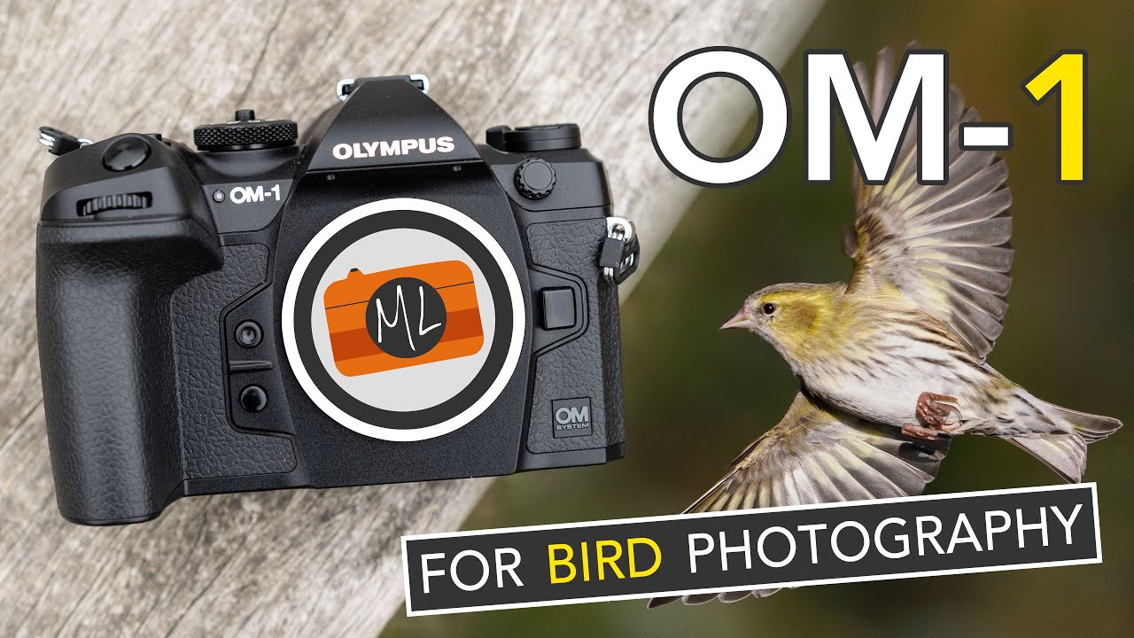 OM System OM-1 Review for Bird Photography - A 'WOW' camera or just “good”?  