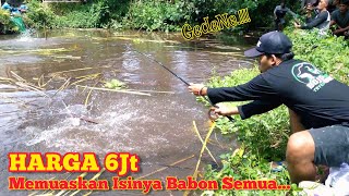 PUAS!! MANCING BORONGAN KOLAM IKAN BAWAL BABON || Harga 6 Juta Rupiah