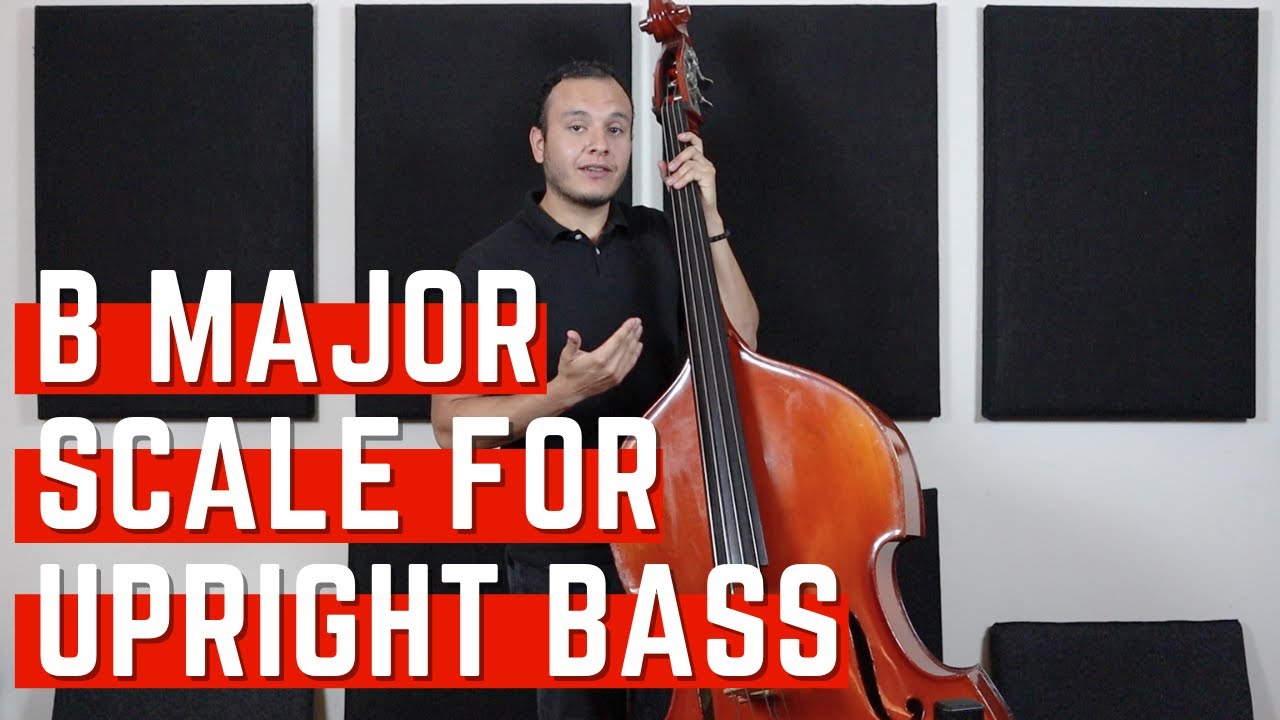 Learn the B major Scale Upright Bass Lessons YouTube