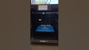 Flashforge Guider II Problem