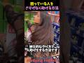 困っている人をさりげなく助ける方法