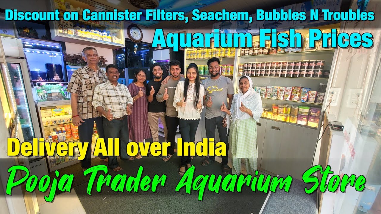 Huge Fish Stock at Pooja Trader Aquarium Store I Delivery Available All ...