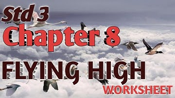Class 3 Env Chapter 8 FLYING HIGH Worksheet solutions/Std 3 Env Chapter 8 worksheet solution NCERT