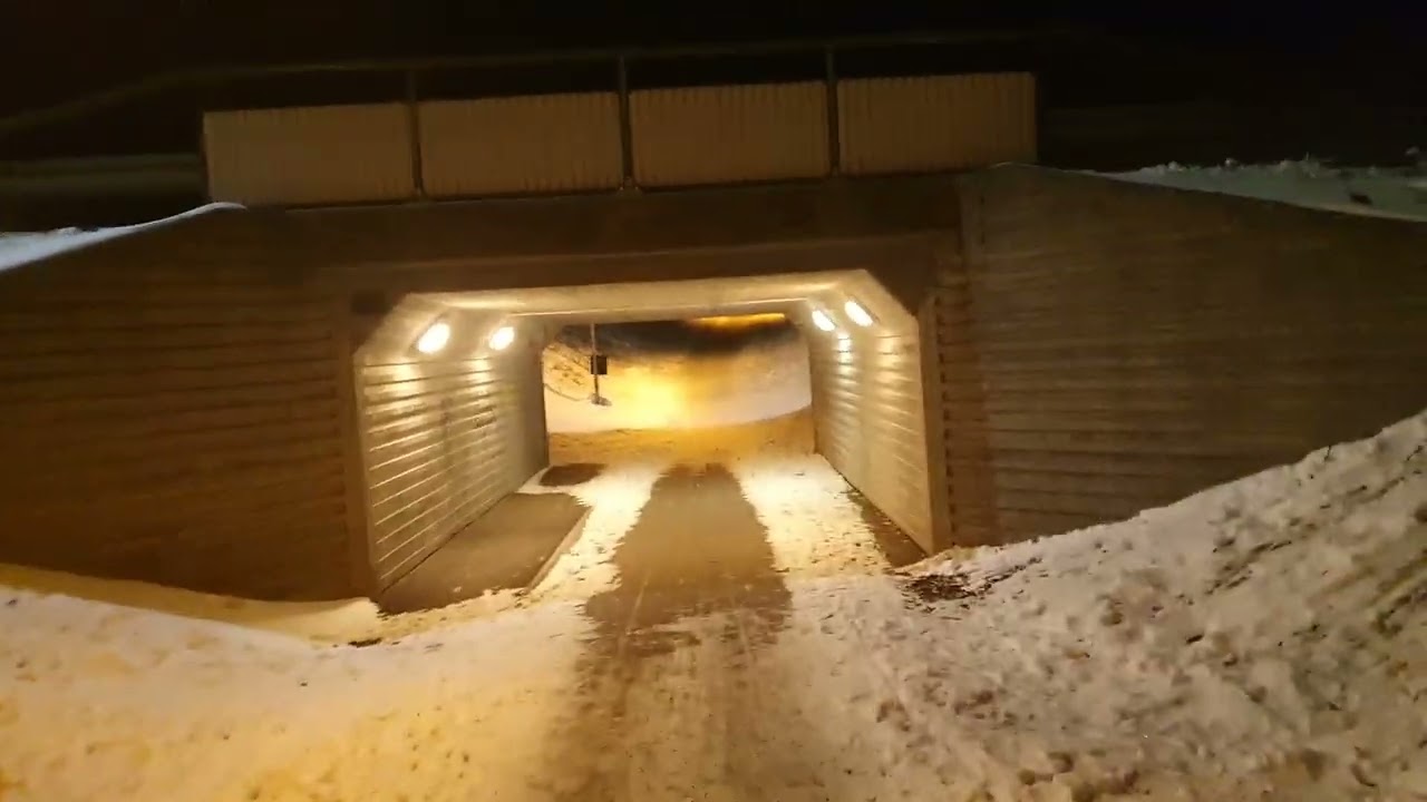 20260214 190224 | Walking | Promenerar