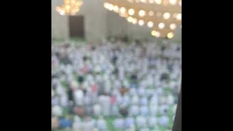 تلاوة لأواخر سورة إبراهيم | ريان السيف