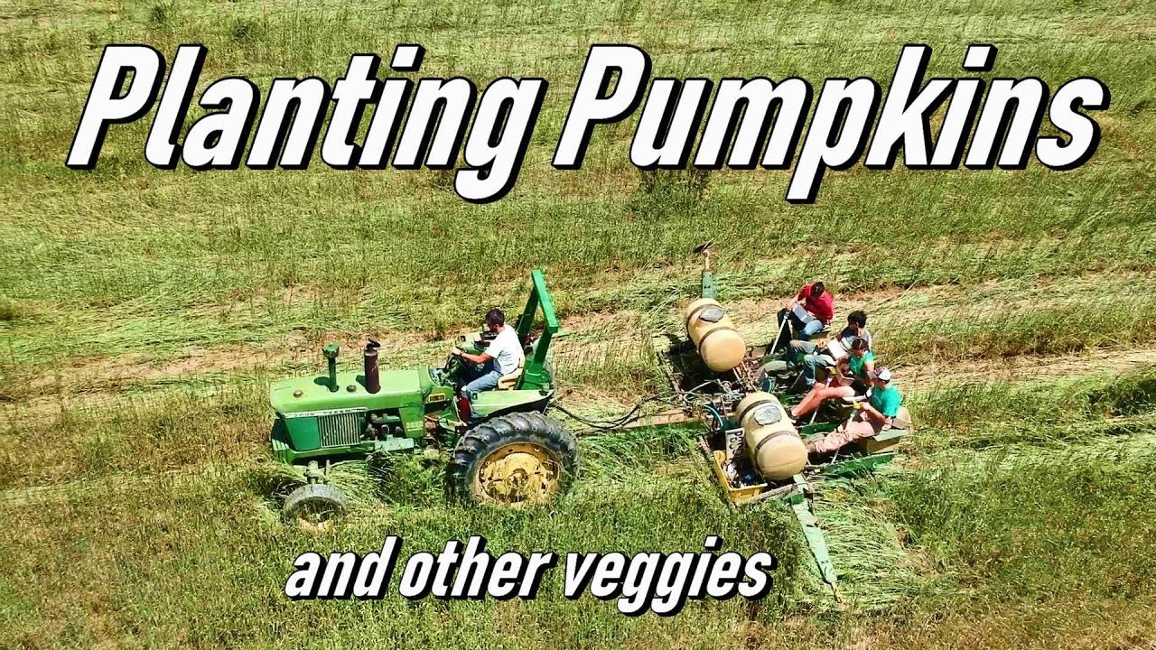 Planting Pumpkins and Transplanting Vegetables - Vlog 16 - YouTube