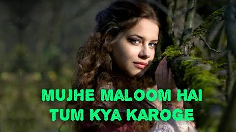 Mujhe Maloom Hai Tum Kya Karoge Ghazal (Album Sitamgar ) By Salim Mahuli