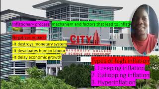 Famous Macroeconomic Assignment 1 video presentation Wealth