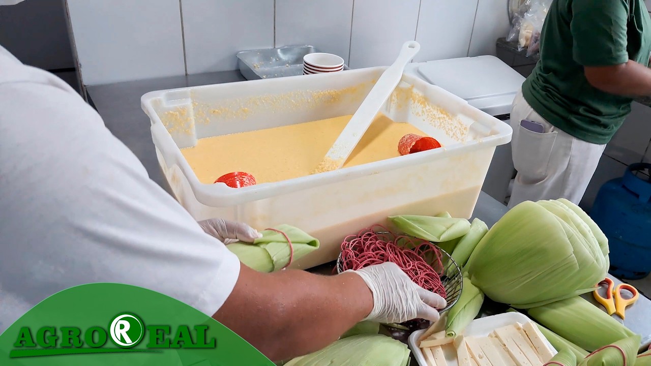Agroindústria produz derivados do milho em Campo Verde