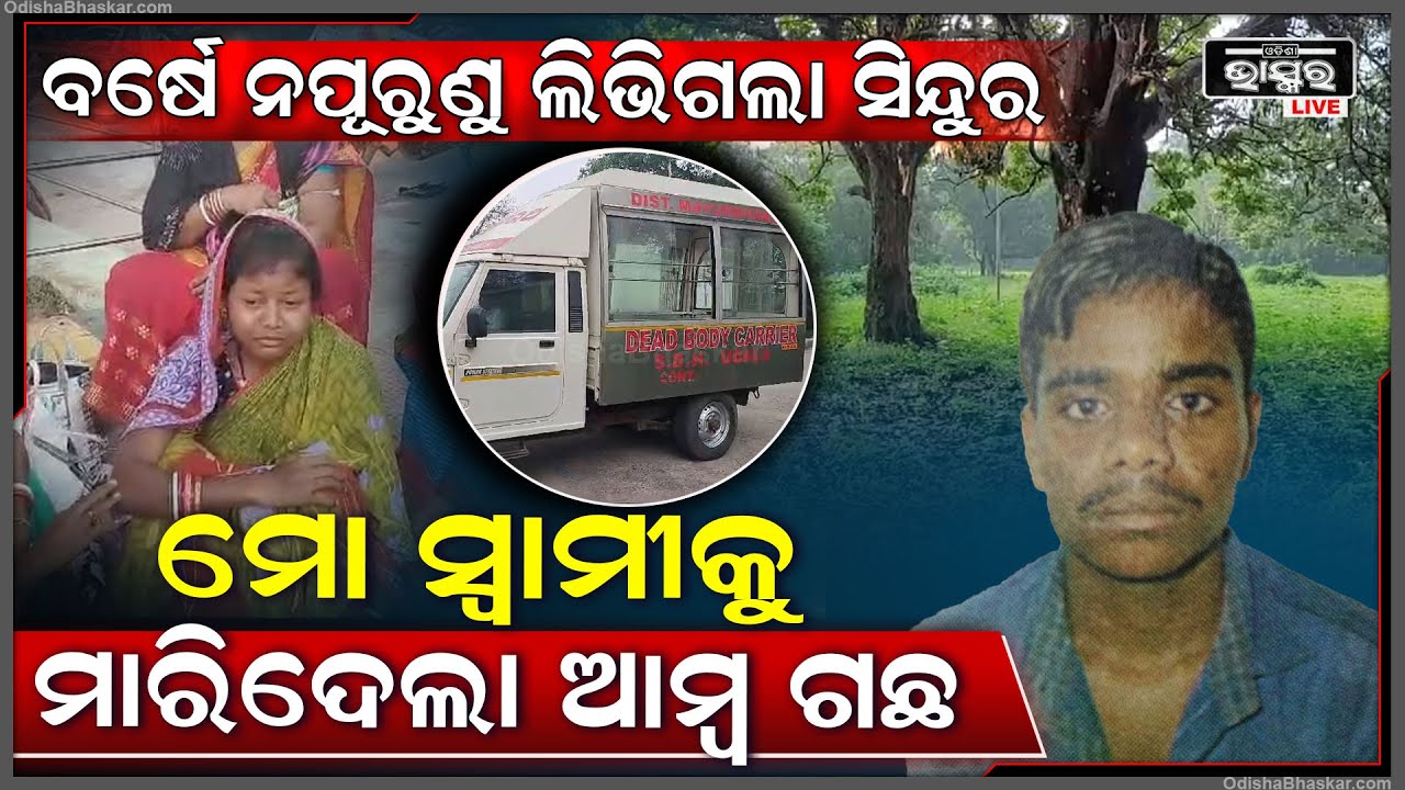 ବାହାଘରକୁ ବର୍ଷେ ପୂରିନି ସ୍ୱାମୀକୁ ଛଡାଇ ନେଲା ଆମ୍ବ ଗଛ, କାନ୍ଦୁଛି ସ୍ତ୍ରୀ