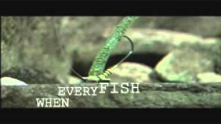 Megastrike Shakeyhead