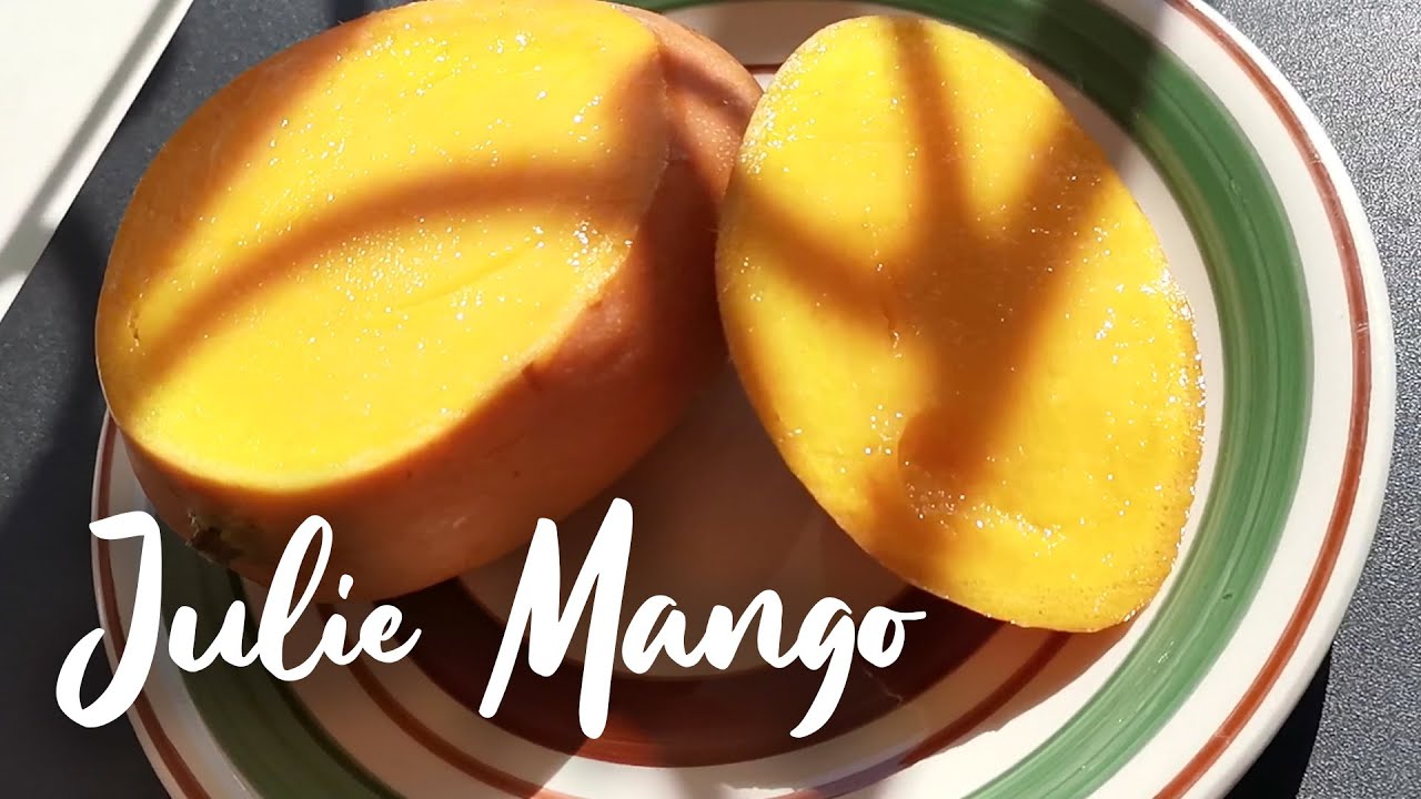 Julie Mango Isolation Vibes YouTube