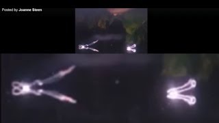 Calling Everyone To Identifythis