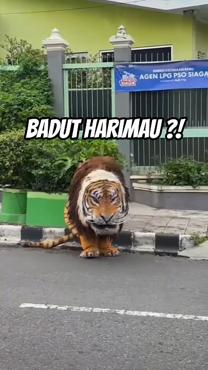 Scary Tiger Clown‼️ #trending #shorts #subscribers #funnyclown #ogohogoh #barongan #jaranan #cute