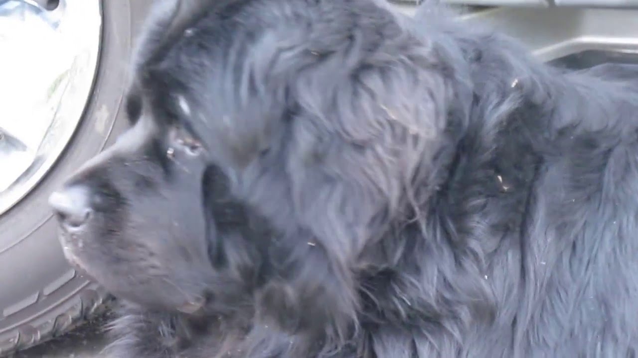 Floral Explosion coming soon