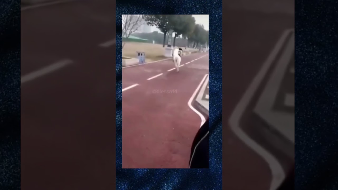 🥲Hier die wissenschaftliche Erklärung, warum es zu Verspätung kommt 😁