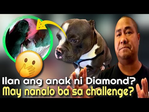 ILAN ANG ANAK NI DIAMOND? SINO ANG WINNER SA PAHULA CHALLENGE?