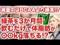 【飲むだけで脂肪燃焼!?】緑茶カテキンを摂ると本当に痩せるの？栄養学的に解説してみた。