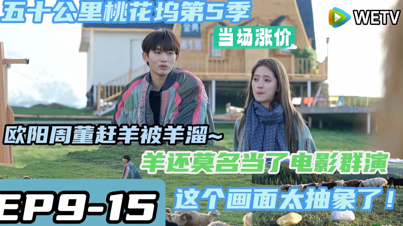 《五十公里桃花坞s5 》EP9-15：欧阳周董赶羊画面~董思成被羊溜#五十公里桃花坞s5 #仁科  #徐志胜 #孟子义 #李雪琴#蔡文静 #周翊然#汪苏泷 #王子奇