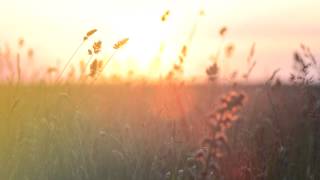 Download lagu Sunset lover ll Speed up