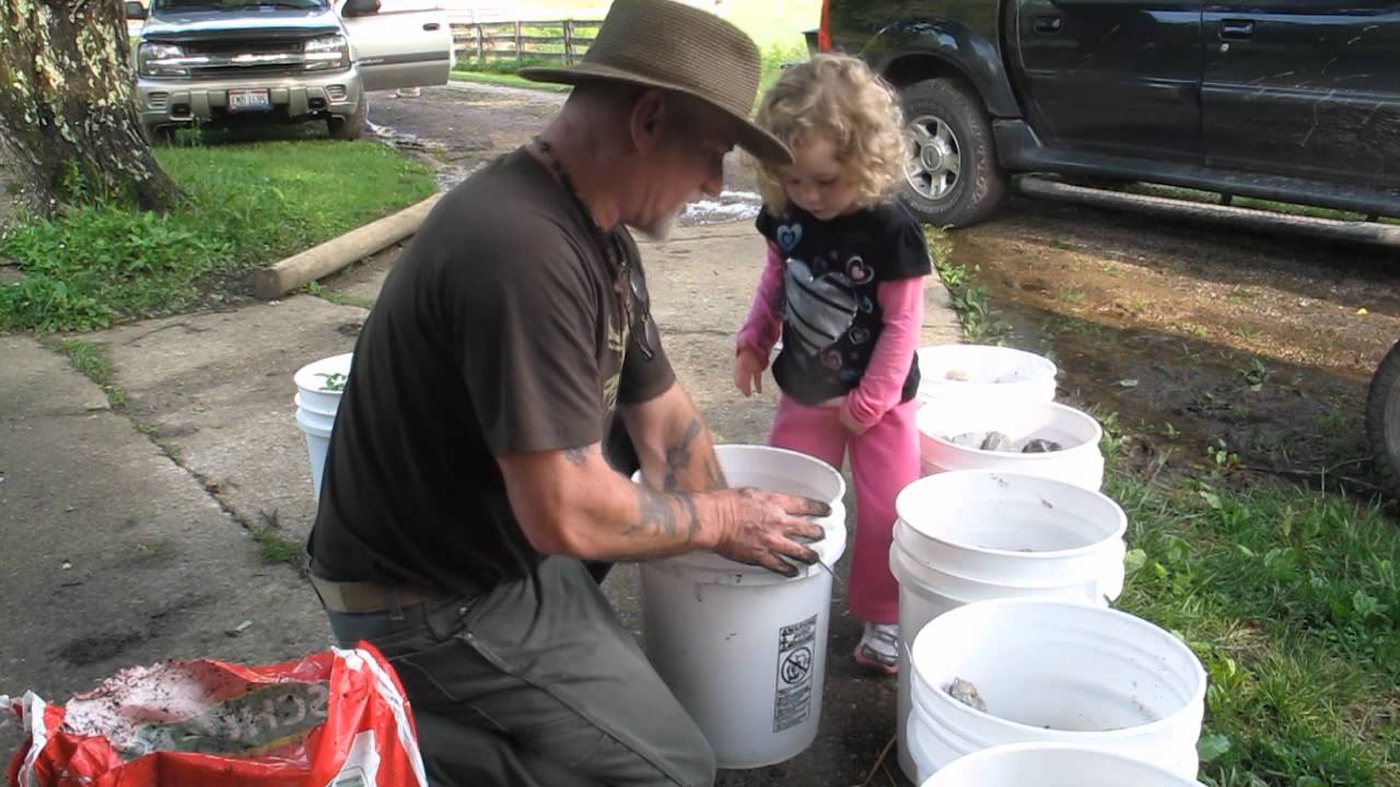 Layla Bug Bucket Garden Experiment Updates 1 with Layla