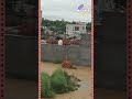 हिमाचल में बाढ़ का कहर: ऊना और जेजों में भारी नुकसान #newsshorts #una #flood