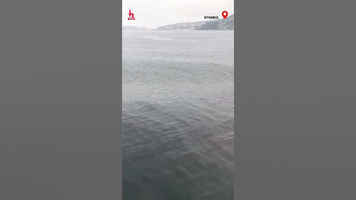 İstanbul'da meydana gelen 6.2 büyüklüğündeki deprem anı Marmara Denizi'nde böyle kaydedildi!