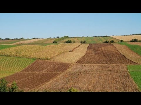 Video: Kako Utvrditi Je Li Tlo Kiselo I Smanjiti Kiselost