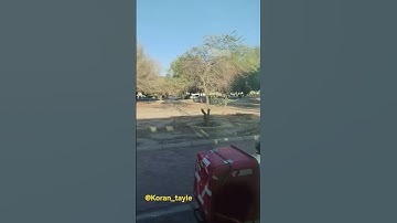 اسمع ولن تندم  القرآن الكريم جمال الأصوات