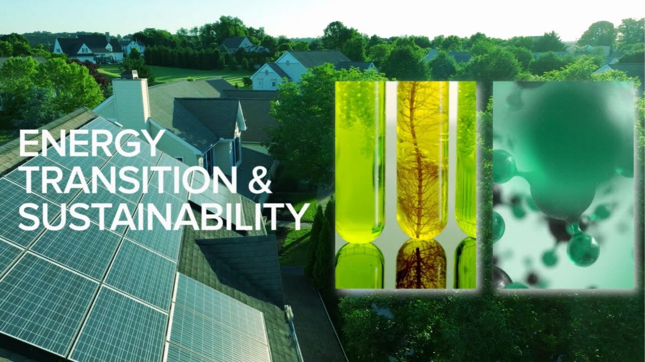 Warburg Pincus Portfolio Profile Series ft. ClimeCo YouTube