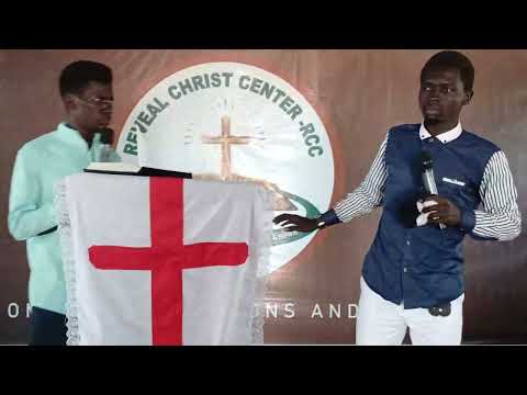 highlights of adlluam of vipers