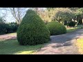 Walking / Longton park/ peaceful/spring/ wildlife #peaceful #walkingtour #vlog #travel #shortsvideo