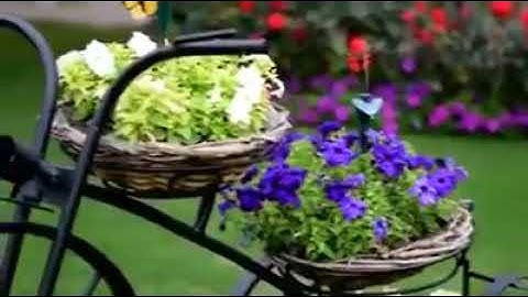 سورة الشمس - السورة 91 - عدد آياتها 15