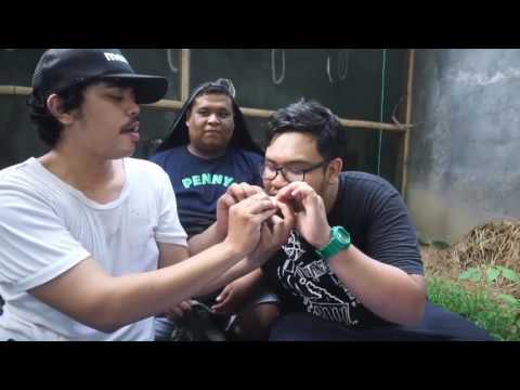 MIRISBRO : MASAK KUPU-KUPU SAOS MACAN!!!