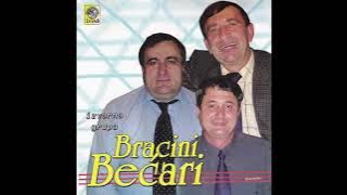 Bracini Bećari - Cik prijo cik (Official Audio)