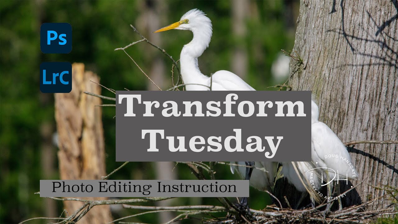 Transform tuesday adobe remove tool in lightroom and photoshop youtube