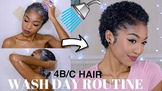 WASH DAY ROUTINE for DRY 4B/C NATURAL HAIR | FROM START TO FINISH | DisisReyRey