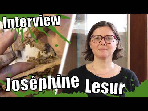 Interview de Joséphine Lesur - Archéozoologue - Maître de conférences au MNHN de Paris