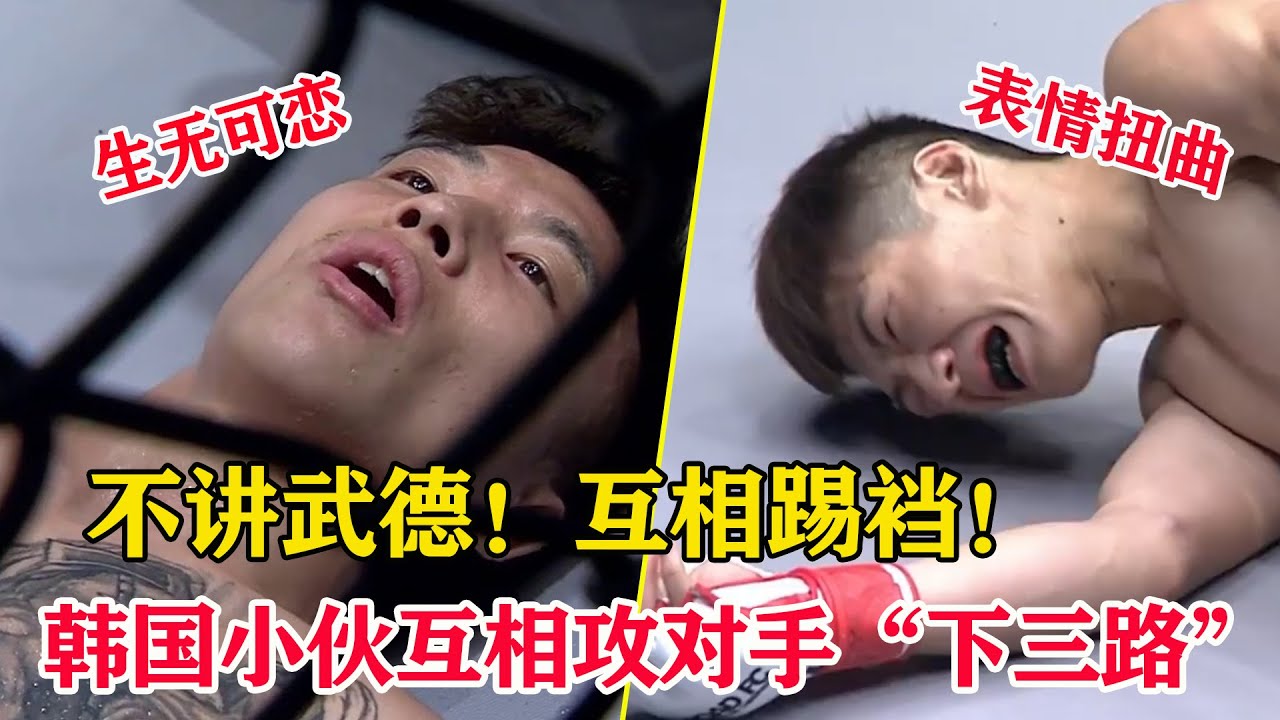踢裆