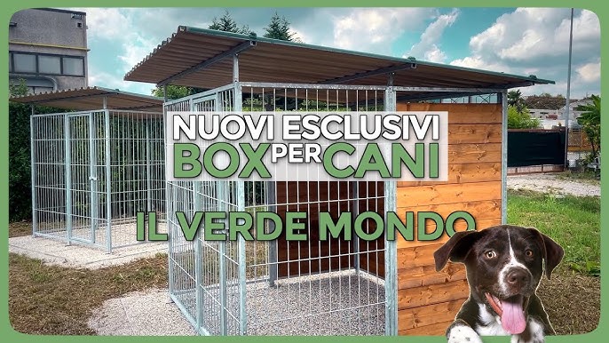 Box per Cani da esterno - Rosignano Marittimo 