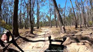 koondrook State Forest