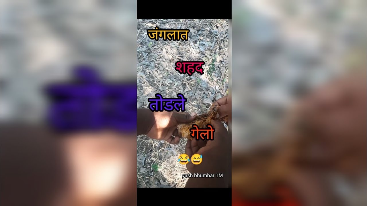 जंगलात शहद तोडले गेलो 😂🤣  #विदर्भ​ #mh27 #marathi​  #vidarbhacomedy​ #gavran​ #shegaon​   #amravati​