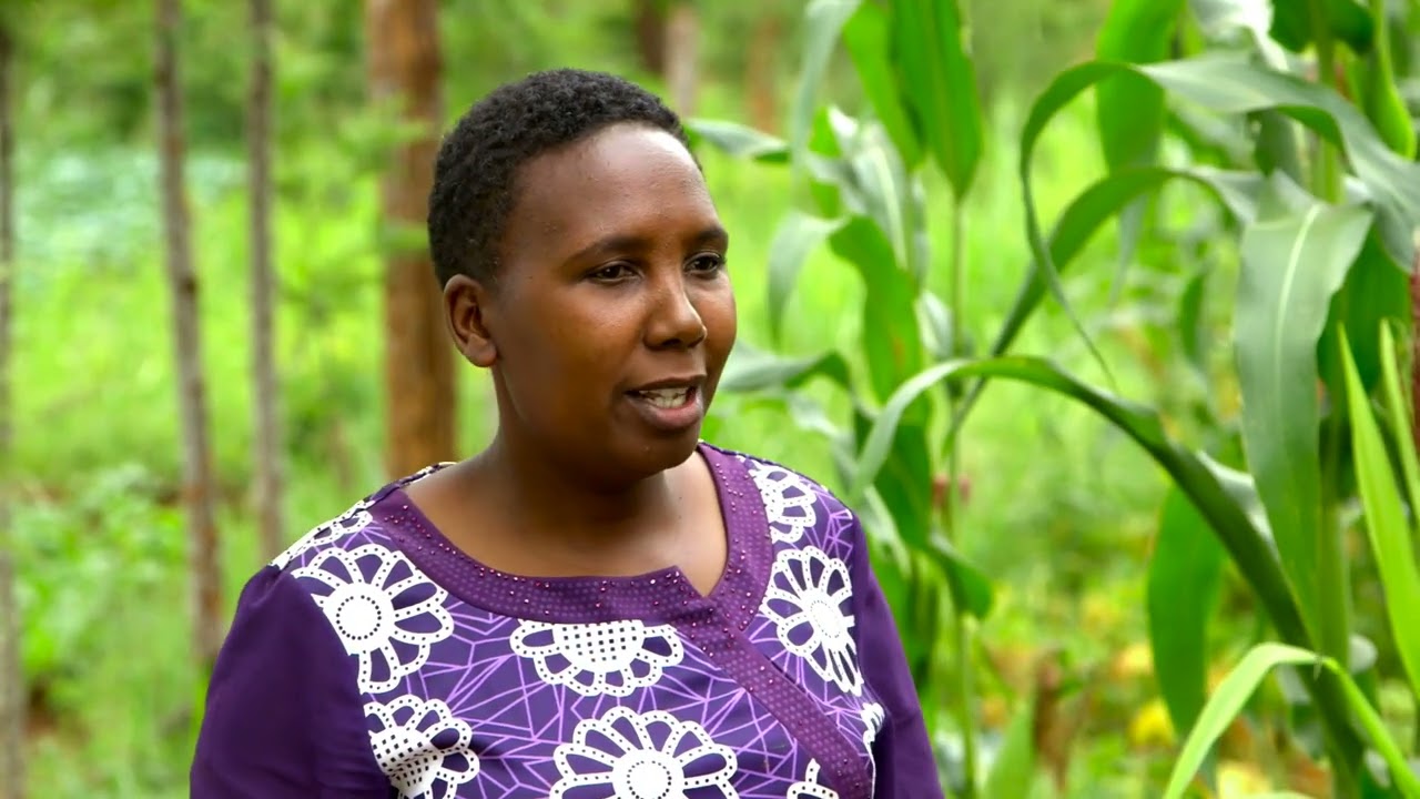 Munda Make Over Series 3-Ep 6:Certified Seeds, Pest & Disease, Post-Harvest and Fish Farming(Nyanja)