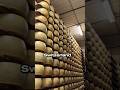 Switzerland's Cheese Drama 🧀🇨🇭#shorts #switzerland #food