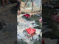 Remembering the Majdal Shams Massacre